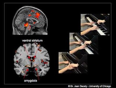 Decety-Bullies Enjoy Inflicting Pain