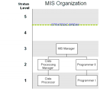 Mainframe MIS organization chart